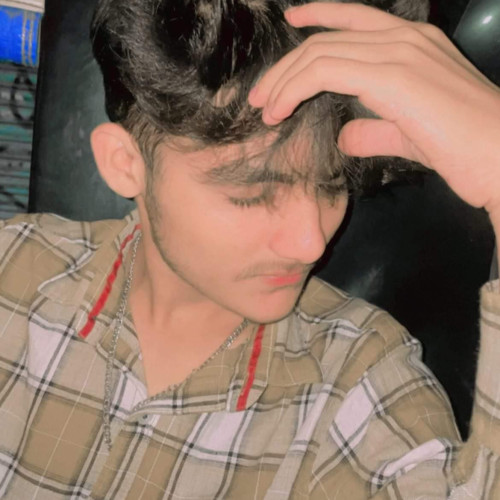 Sadiq S. profile photo