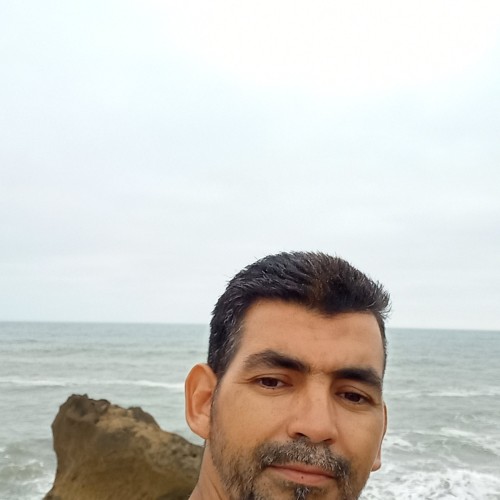 ziad r.
