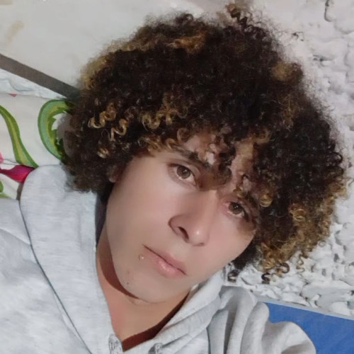 Deivys S. profile photo