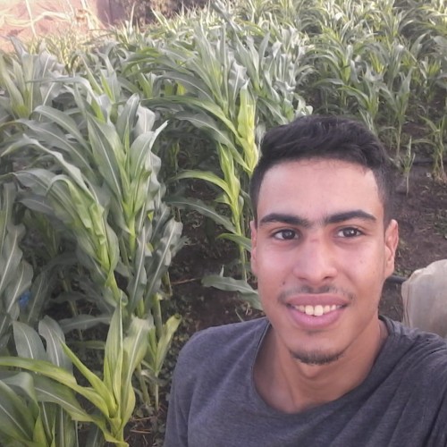 IBRAHIM E.