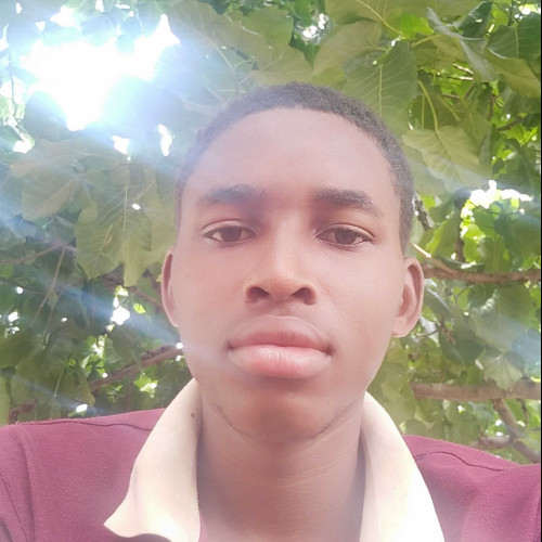Malik a.