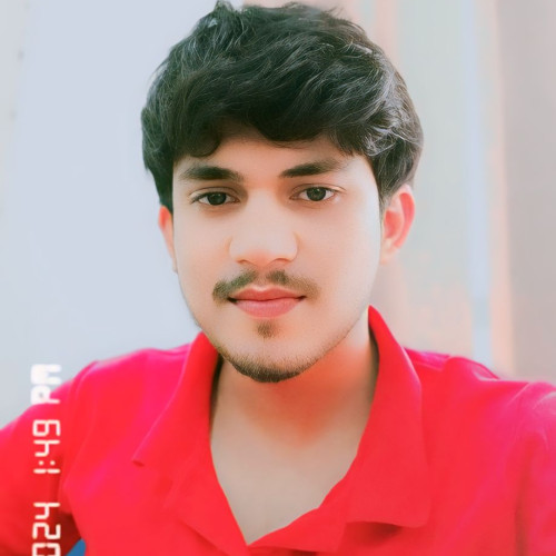 Mehar M. profile photo