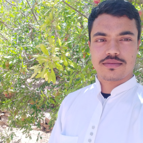 Mbark  A. profile photo