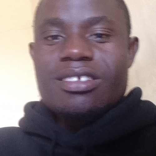 Peter L. profile photo
