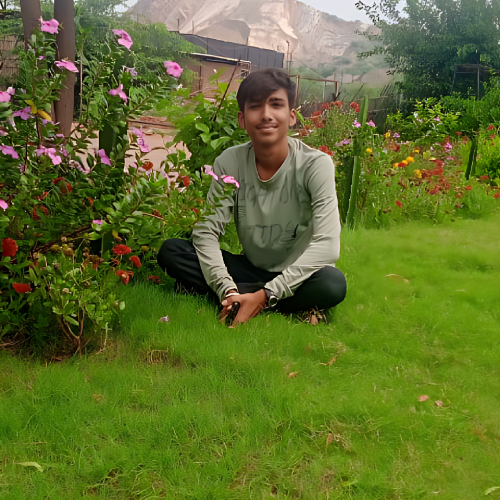 Narayan S.