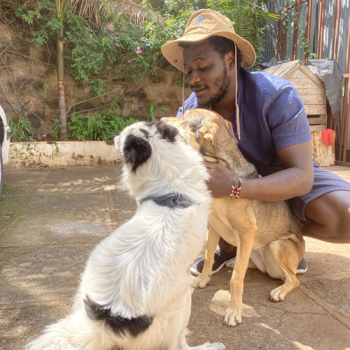 Ongwae O. profile photo