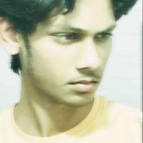 suansh b. profile photo