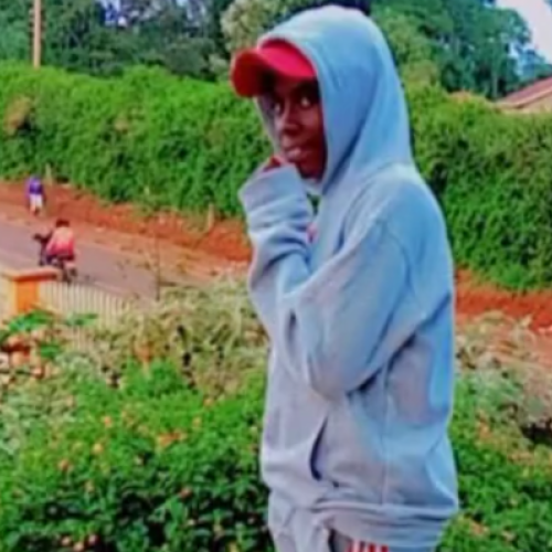 Rami R. profile photo