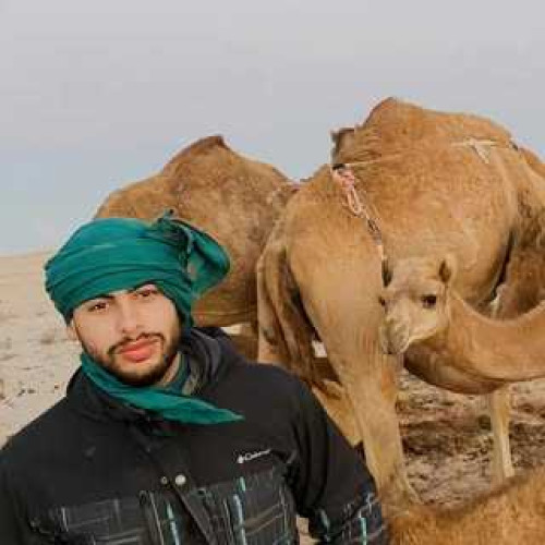 Ahmed A. profile photo