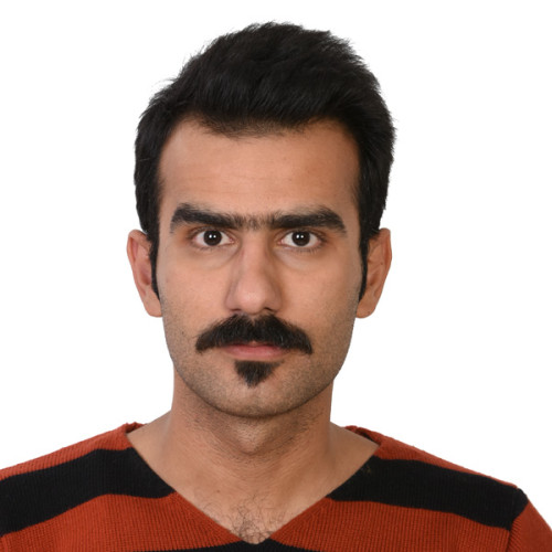 amir p. profile photo