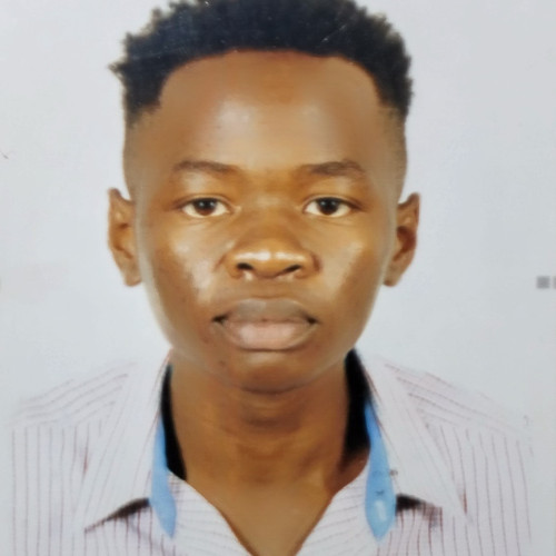 Bartlett N. profile photo