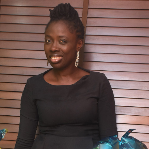 Olufadekemi  O. profile photo