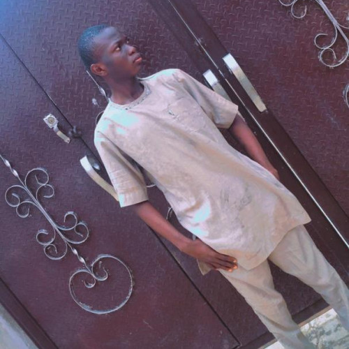 salaudeen  A. profile photo