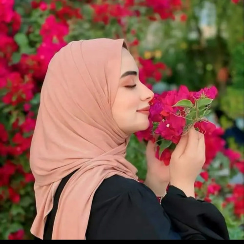 Zaynb N.