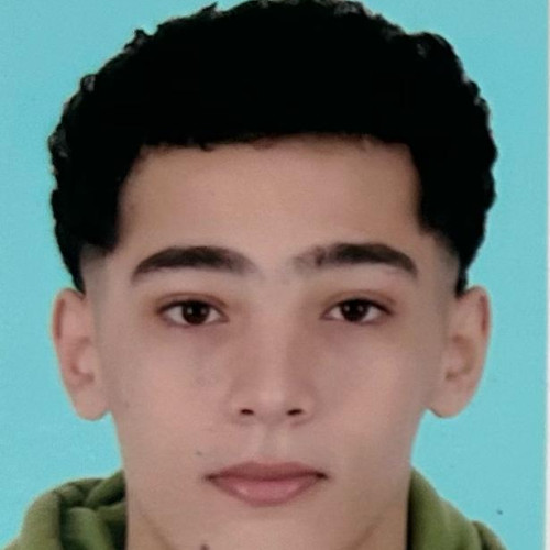 othmane b. profile photo