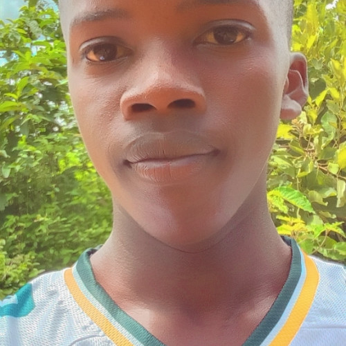 Daniel M. profile photo