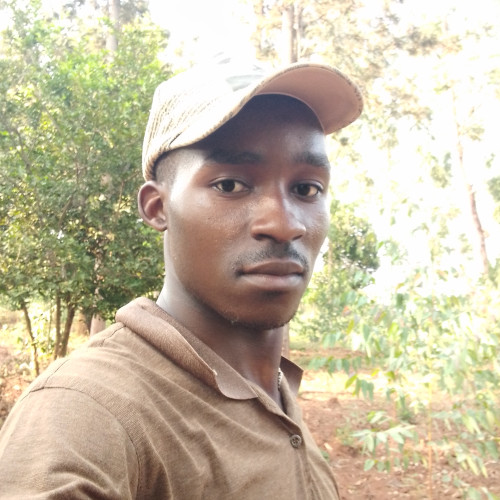 nassa m. profile photo