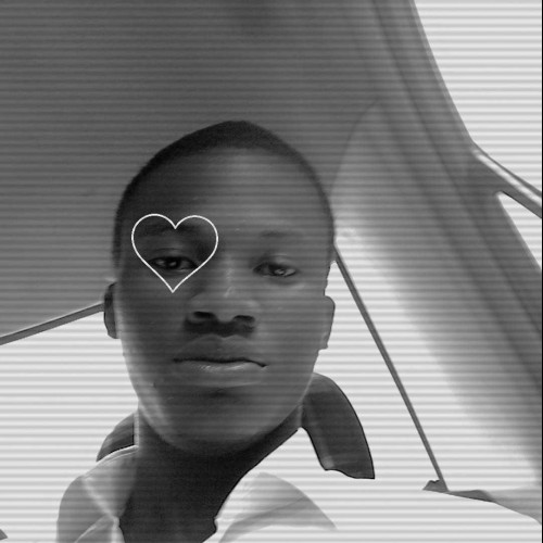 Kingsley n. profile photo