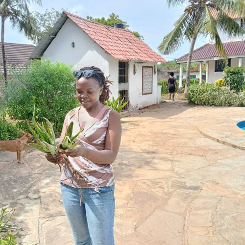 Lilian i. profile photo