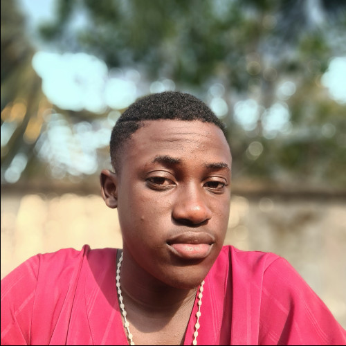 Emmanuel A. profile photo