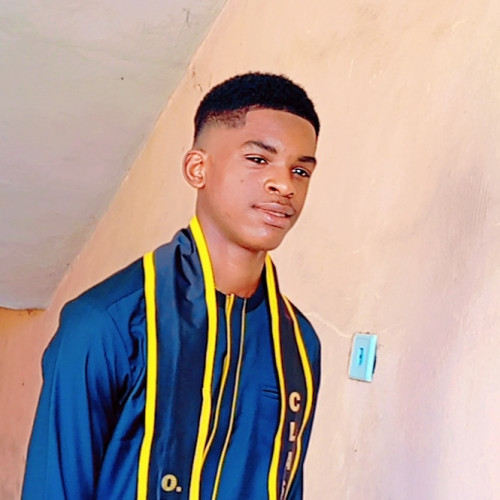 Nwafor S. profile photo