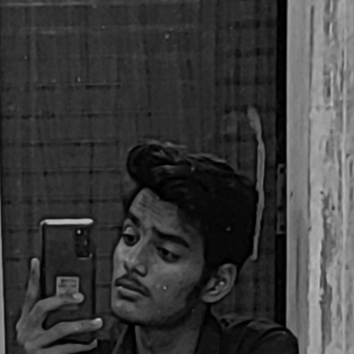 Hardik T.