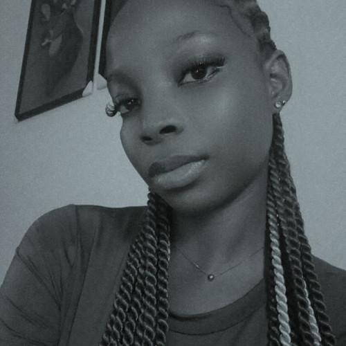 Somtochukwu  N. profile photo