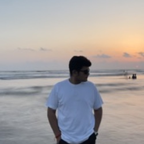 Divyesh T.