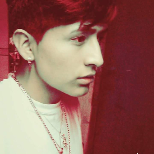 stip v. profile photo