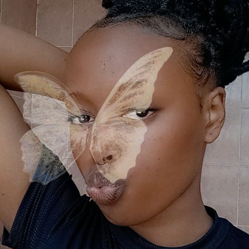 Sandra M. profile photo