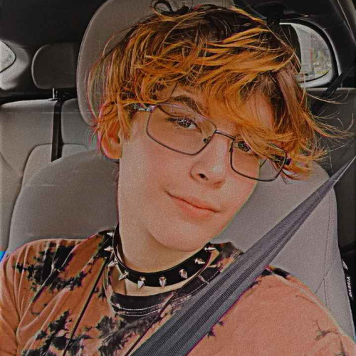 Icarus M. profile photo