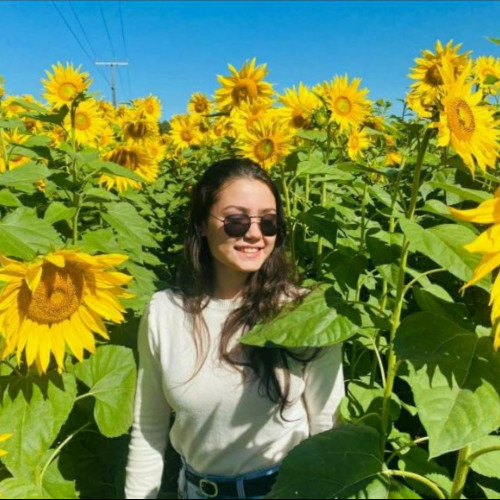 Almira  C. profile photo