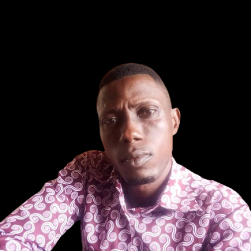 Elugbemi S. profile photo