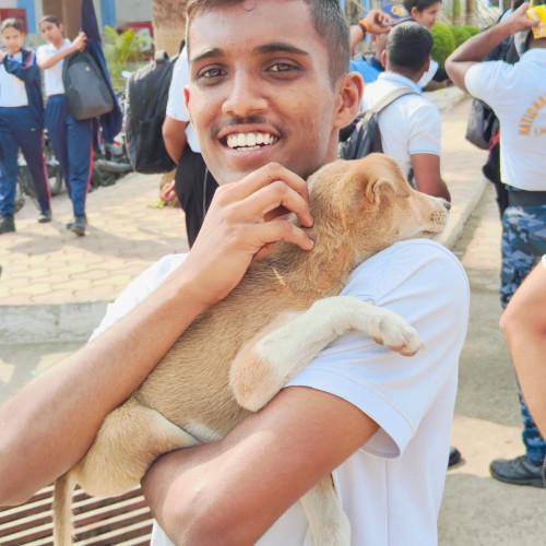 Chirag p. profile photo