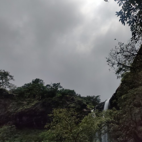 Rushabh P. profile photo