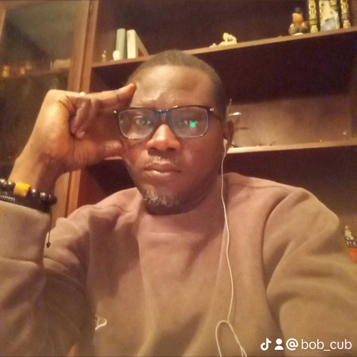 Olabode O. profile photo