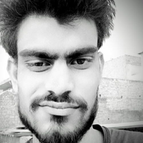 Naveen d. profile photo