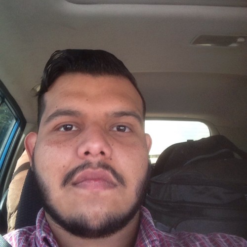 noel p. profile photo