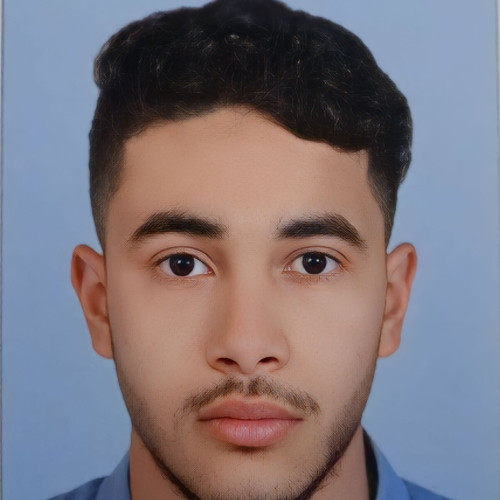 Mohamed Amine  D. profile photo