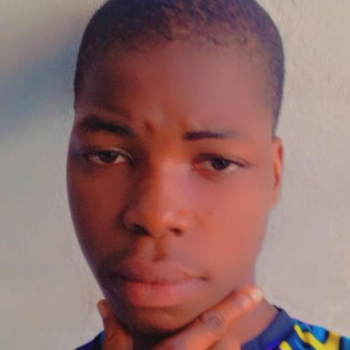 Oluwadamilare  B. profile photo