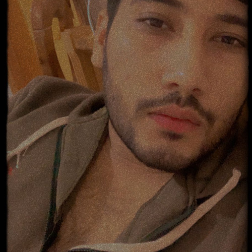 Amir N. profile photo