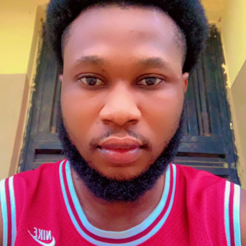 Olorunfemi  O. profile photo