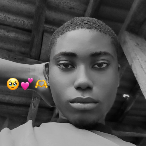 Adelowo  O. profile photo
