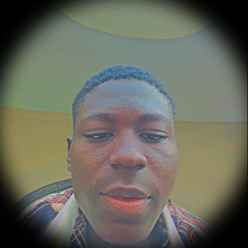 Daniel  P. profile photo