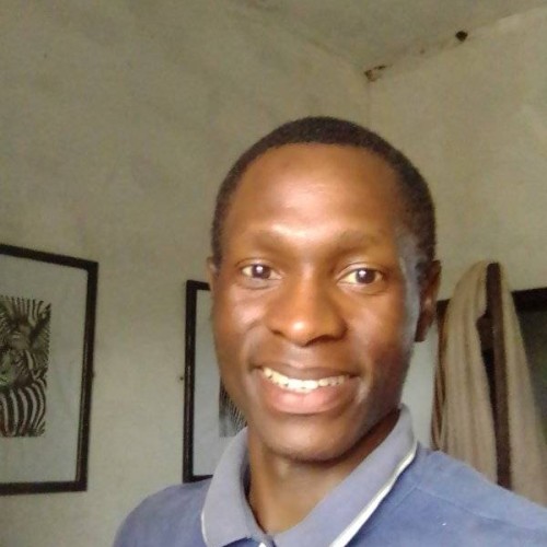 Polly S. profile photo