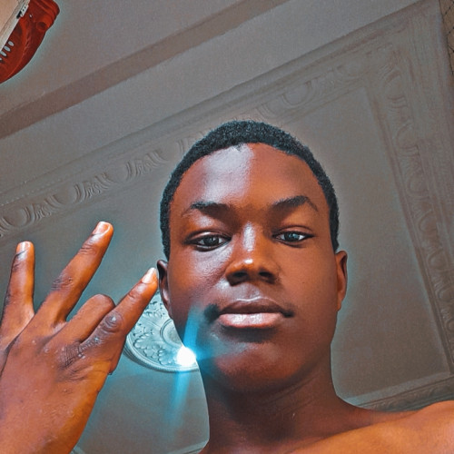 Young  N. profile photo