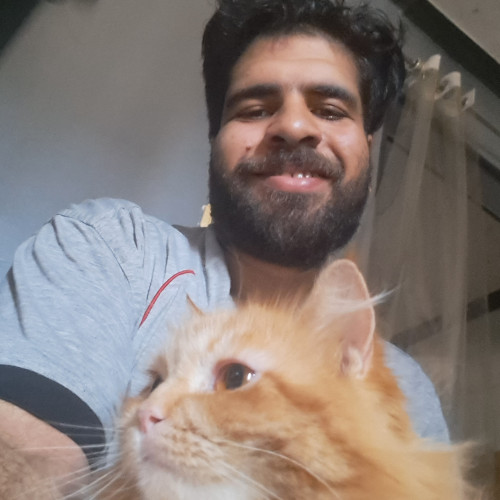Mohamed M. profile photo