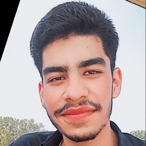 Waji W. profile photo