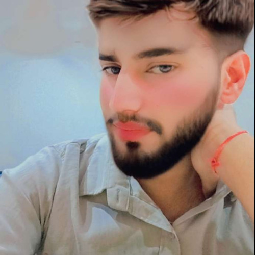 Ayush K. profile photo