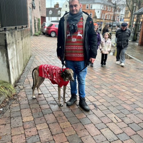 Dan R. profile photo